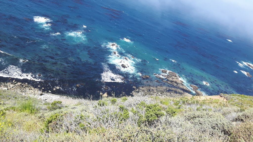 bigsur11