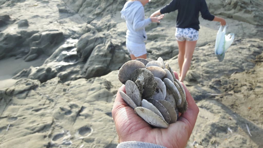 morrobay1
