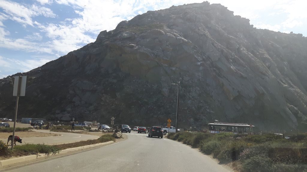 morrobay4