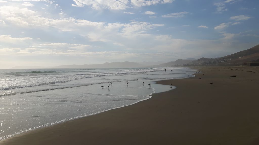 morrobay6
